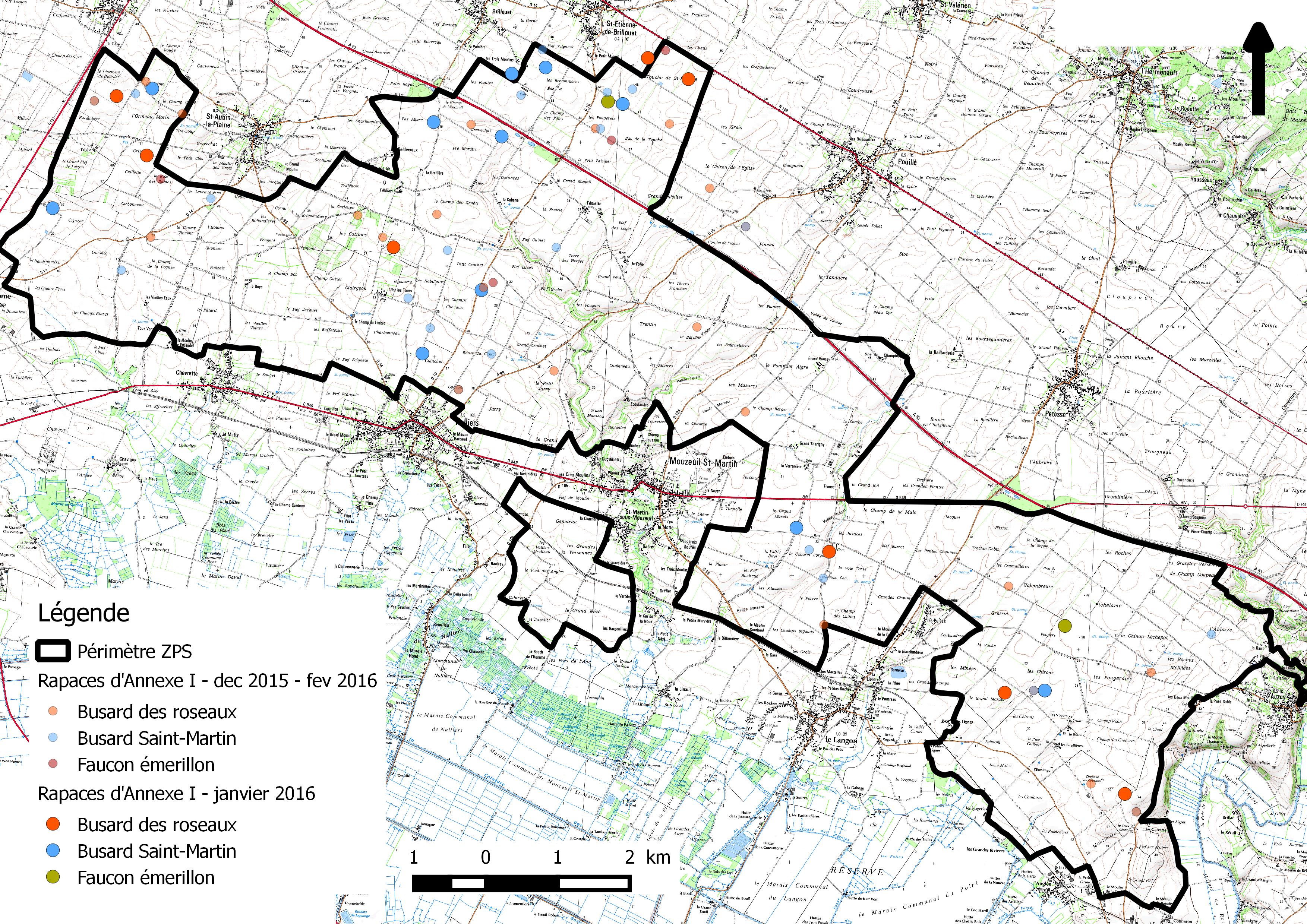 Rapaces hivernants dans la ZPS (hiver 2015-2016)