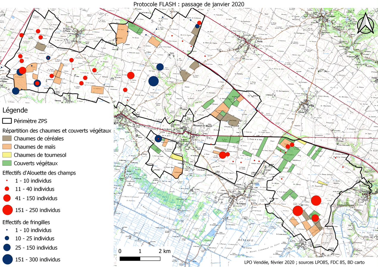 Suivi des oiseaux hivernants sur la ZPS (passage de janvier 2020) © LPO Vendée