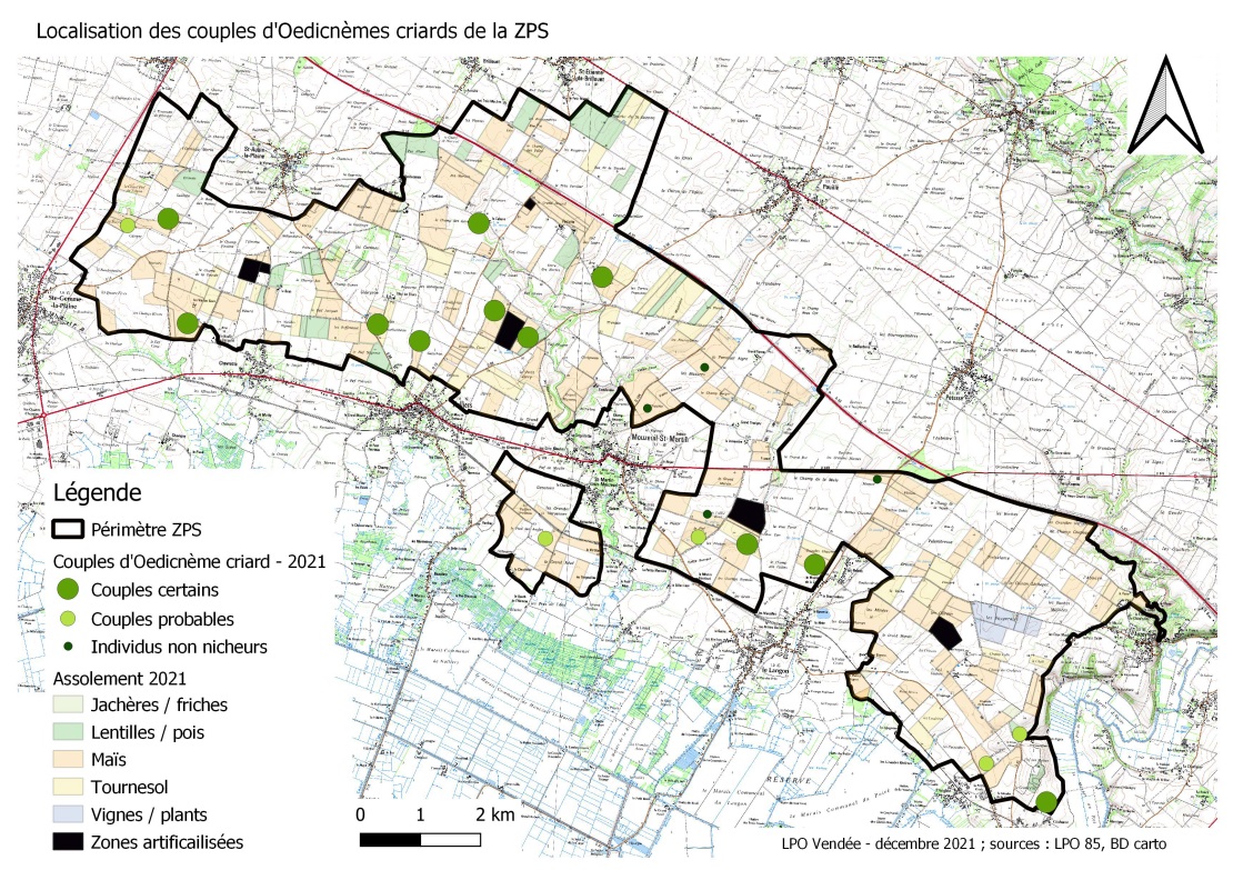 Couples d'oedicnèmes sur la ZPS en lien avec l'assolement 2021 © LPO Vendée